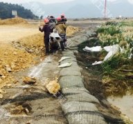 �����I��������ڹ���